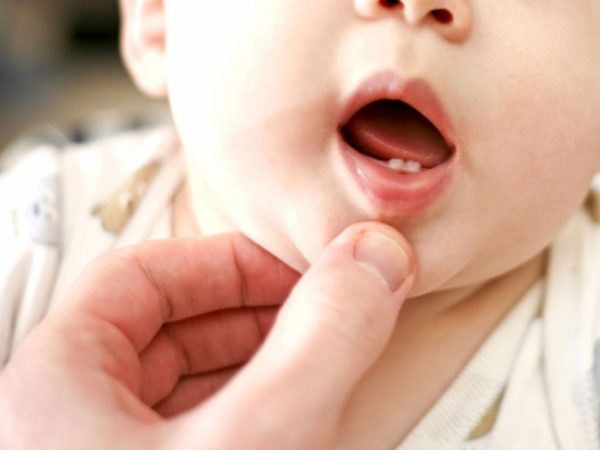 Les Dents De Bebe Planetepapas Com Les Dents De Bebe Planetepapas Com