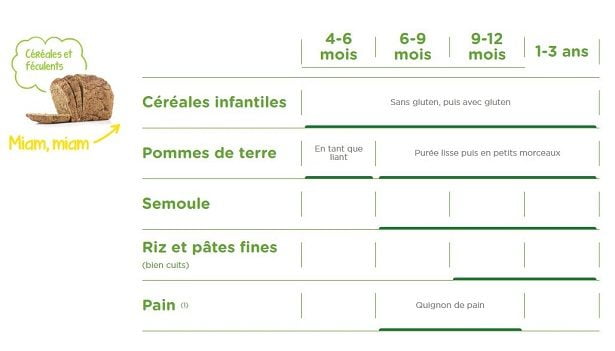 Céréales et féculents - diversification des aliments pour Bébé Céréales et féculents