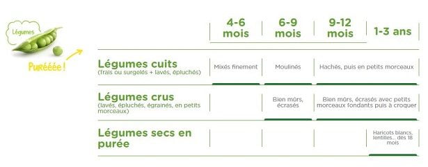 Légumes - diversification des aliments pour Bébé Légumes