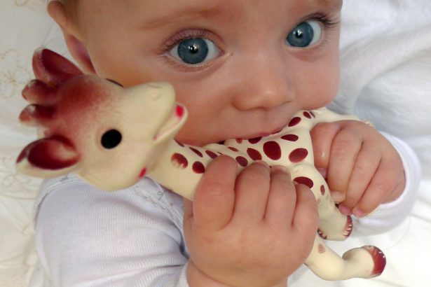 Sophie la girafe Sophie la girafe