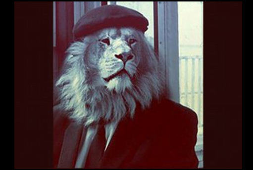 Blog papa Lion